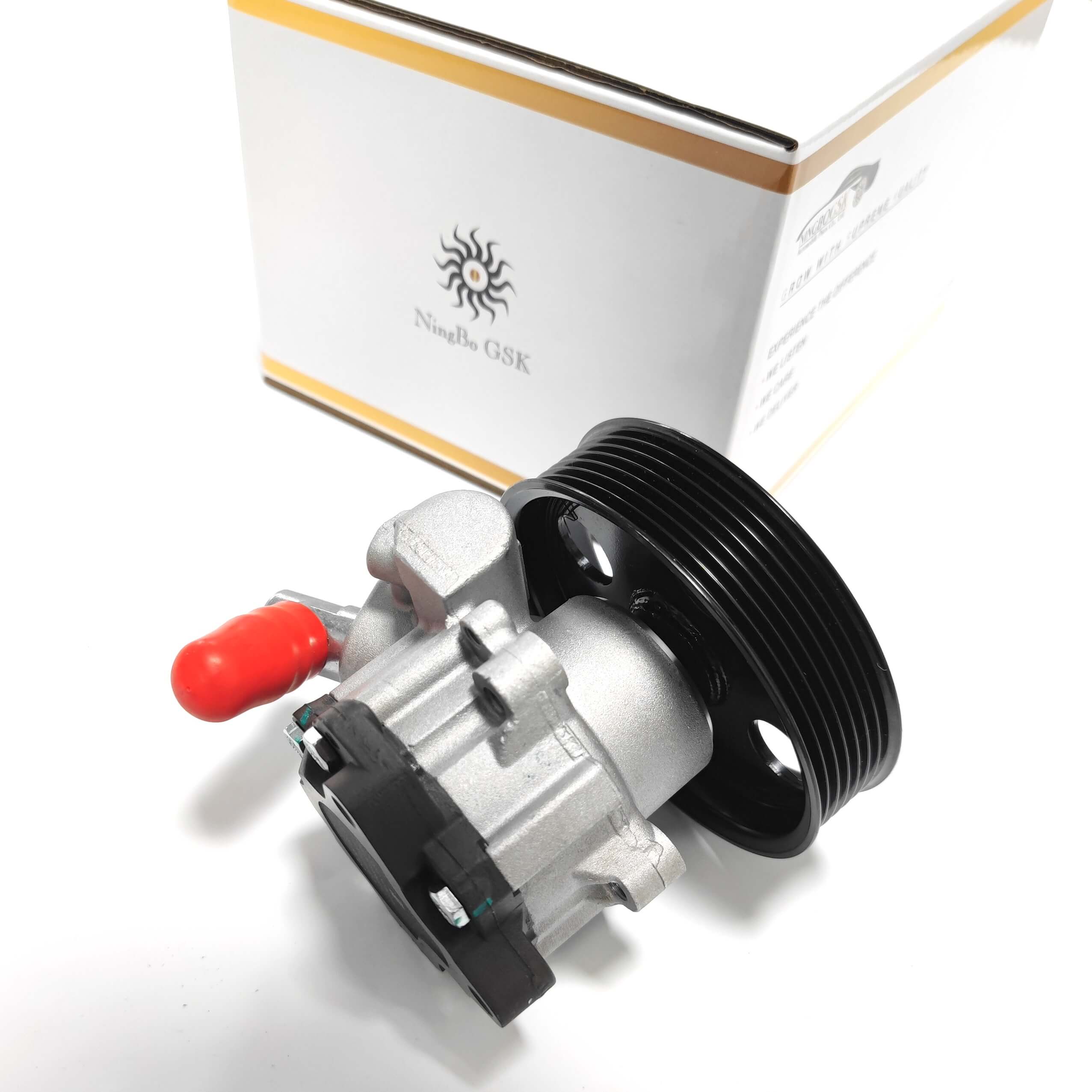 Steering Aid Pump